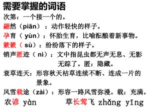 大自然的语言 本文采用什么说明顺序