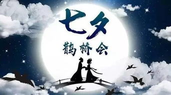 牵牛织女渡河桥下一句，什么牵牛织女渡河桥