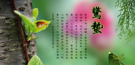 惊蛰节气是农历哪天?
