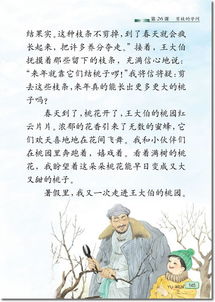 剪枝的学问是什么