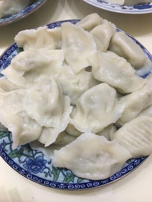 饺子节作品，饺子姐是什么意思