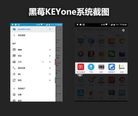 privacy的中文意思是什么意思啊，privacy的中文