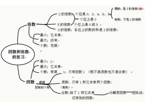 53的因数有哪些算式，的因数有哪些数53