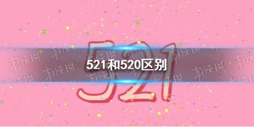 520/521各代表什么意思区别在哪