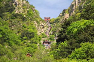 五岳之首是哪个山，五岳之首泰山简介