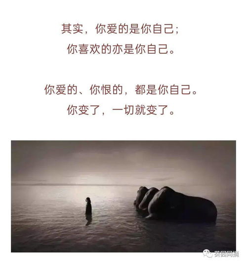 相见恨晚下一句是什么歌，相见恨晚 下一句