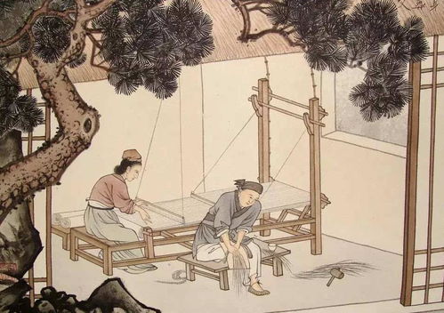 农村俗语“母在不庆生,父在不留须”,是什么意思?