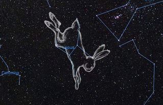 幻塔天兔座如何连线