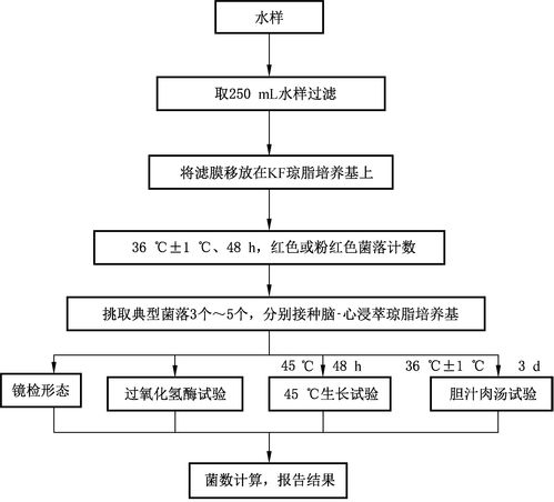 粪链球杆菌属于真菌吗