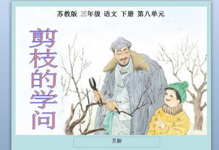 剪枝的学问告诉我们什么道理，剪枝的学问你有什么感受