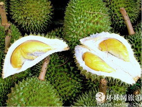 榴莲一般是什么季节吃的?大概在几月份?