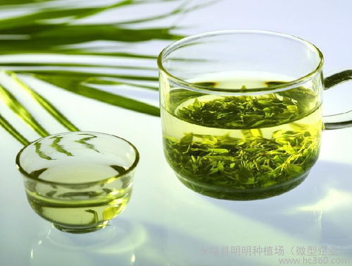 绿茶的功效与作用去火吗，绿茶的功效对男性的好处