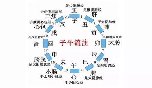 下午3点到5点是哪个器官排毒，下午5点到7点是什么时辰