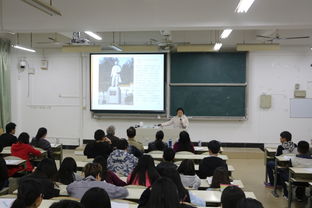 社会实践成果介绍，社会实践成果提交形式怎么写