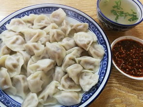 如何煮饺子视频，烧水壶如何煮饺子