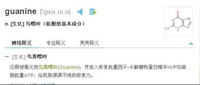 Dna是是什么英文名称的缩写，dna是什么英文名称缩写是什么