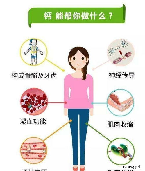 补钙有什么作用?