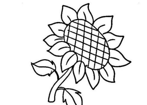 葵花简笔画 人物，葵花简笔画简单