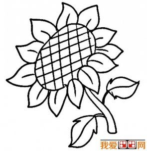 向日葵怎么画