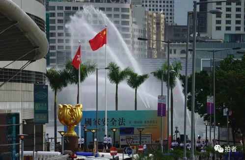 香港,澳门特别行政区区旗含义是什么?