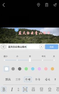 任意东西的任意是什么意思,任意东西中的任意是什么意思