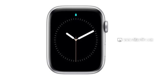 “watch”怎么读?