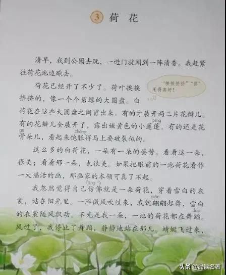 人教版小学语文三年级下册第三课《荷花》内容