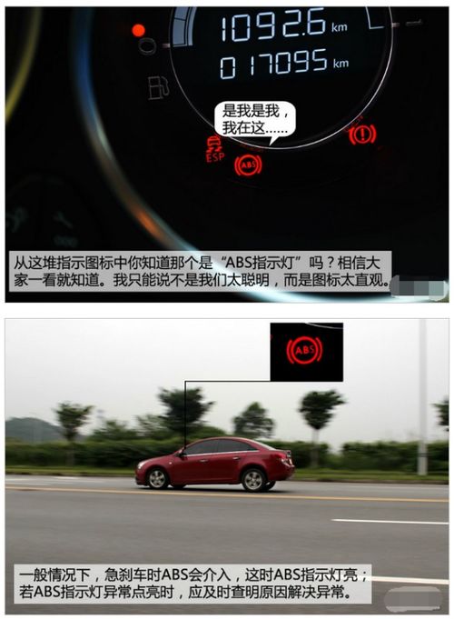 check什么意思