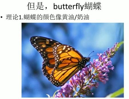 蝴蝶的英文怎么读