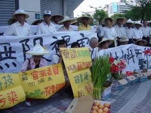 东莞环评办理多少钱 环评办理要多久 环评办理流程