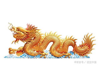 上面一个龙,下面一个天是什么字