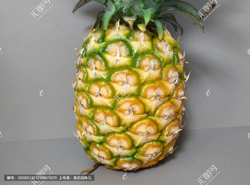 金钻凤梨的功效与作用，金钻凤梨需要泡盐水吗