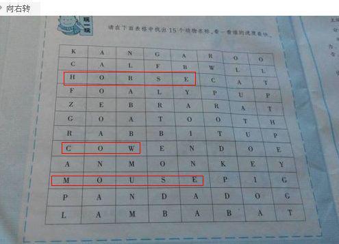 动物的英语单词有哪些?