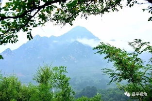 空山新雨后天气晚来秋全诗，空山新雨后天气晚来秋我仿佛看到了这样的景象