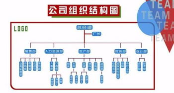 怎样制作单位组织结构图?