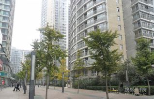 自北京站到朝阳区八里庄西里远洋天地怎么走()?