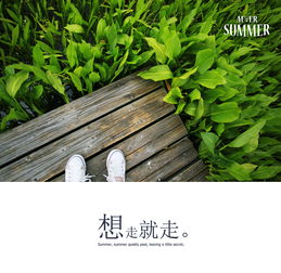 夏天夏天悄悄过去黑的只有你，夏天夏天悄悄过去歌词