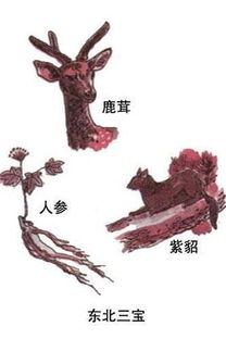 东北三宝是什么