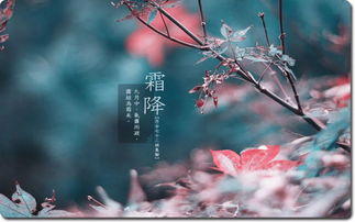 霜降是什么时候这一节气的特点是什么，霜降是什么时候结束