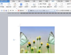 word怎么裁剪图片大小，word怎么裁剪图片大小快捷键