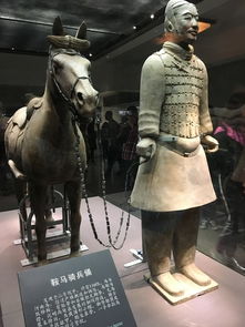 侍儿扶起娇无力,始是新承恩泽时是什么生肖，侍儿扶起娇无力(打一食品名)