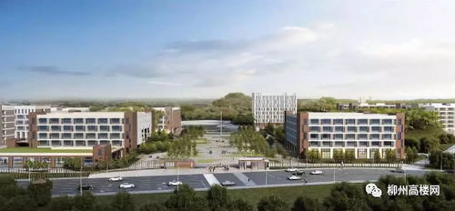 柳州有什么大学