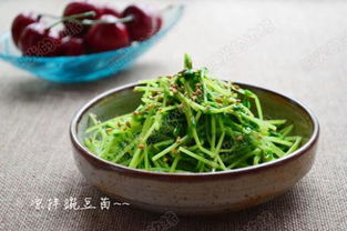 豌豆苗做法大全图片，豌豆苗的家常做法大全