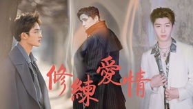 《修炼爱情》的歌词