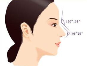 长期闻胶水对人体有没有害