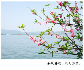 古代十二月的别称，一年十二月的别称