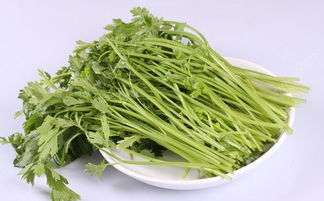 芹菜吃多了会有什么影响怀孕吗，男人吃芹菜会影响性功能吗