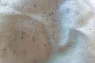 发霉的衣服用什么洗能洗掉