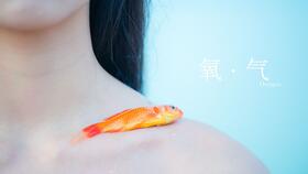 氧气范晓萱在线试听免费，氧气范晓萱mp3