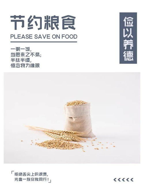 节约粮食的顺口溜20字，节约粮食的顺口溜儿八个字